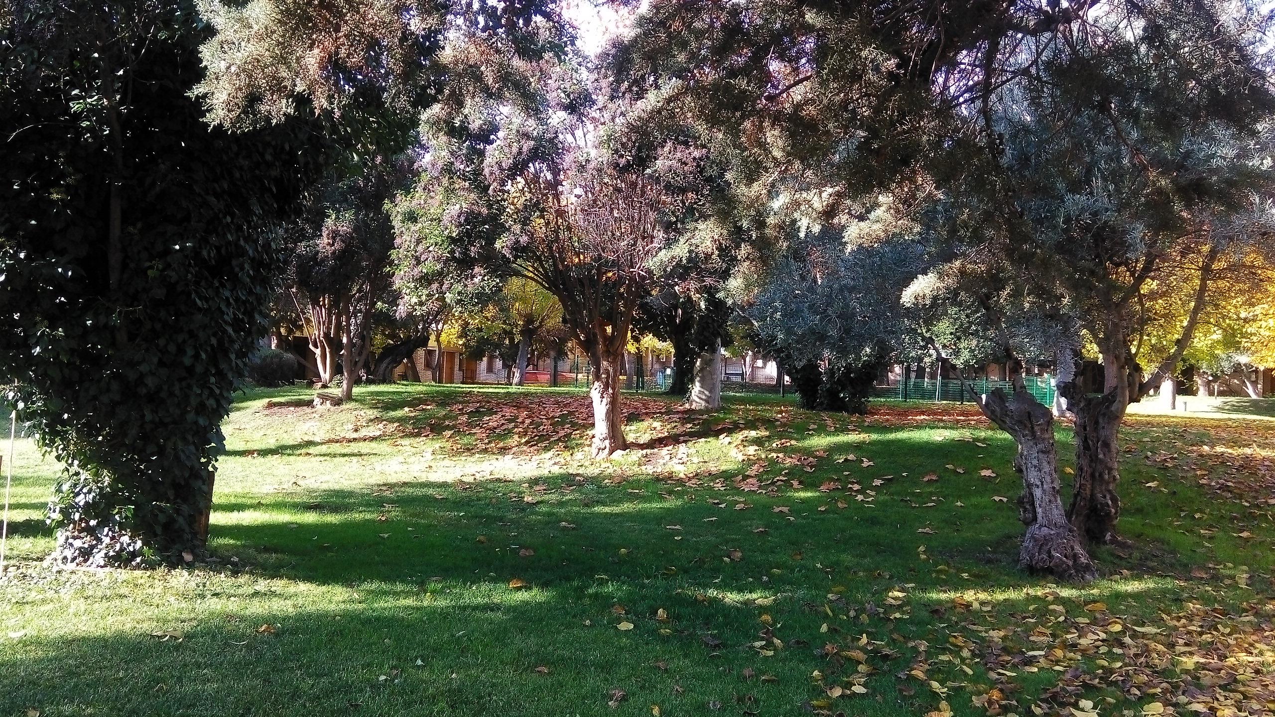 Olivos 3* Getafe